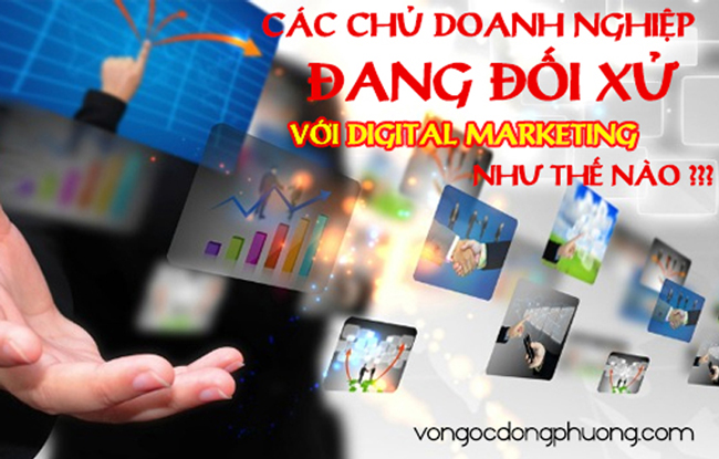 Insight về Digital Marketing của các boss