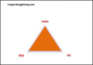 Tam giác Thân - Tâm - Trí có trong mỗi con người