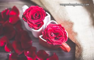 Nếm cảm xúc đắng