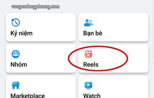 Tính năng Reels của Facebook cạnh tranh với Tik Tok