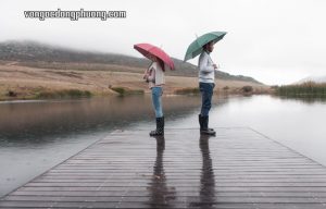 Câu chuyện về thế giới không có tình yêu